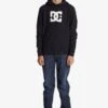 DC SHOES Dc Star - Hoodie - Black