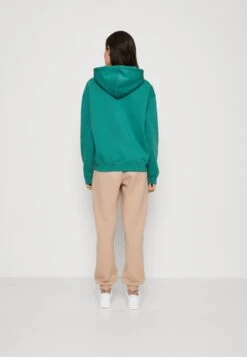 WEEKDAY Essence Standard Hoodie - Sweater - Green -Mode Kledingwinkel 10d634a03f1f4488bcd19c73122f2208