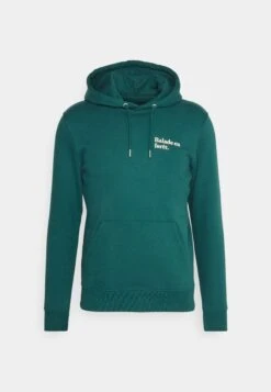 Hoodie Balade En Forêt Unisex - Sweater - Glazed Green -Mode Kledingwinkel 13aa8bfdb6b34ba18b71b0426f8393da