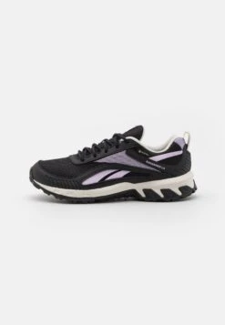 Reebok Ridgerider 6 Gtx - Sportieve Wandelschoenen - Taupe/Core Black/Purple