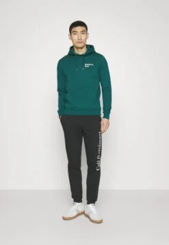 Hoodie Balade En Forêt Unisex - Sweater - Glazed Green -Mode Kledingwinkel 417e89b68e644fb6aae7eec3c156d589