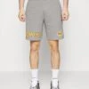 NEW ERA Nba Team Logo Shorts Los Angeles Lakers - Korte Broeken - Grey -Mode Kledingwinkel 5aefd97a8f7f429f8946e93566d4f433