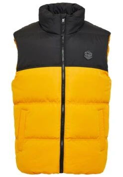 Threadbare Lethame - Bodywarmer - Mustard Black 11 Threadbare Lethame - Bodywarmer - Mustard Black -Mode Kledingwinkel 5f46599a928149308702fe2a9ae13e4e