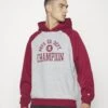 Champion Athletics Hooded - Hoodie - Grey -Mode Kledingwinkel 719dba6b5f88494bb83ce2e9af5f5e47