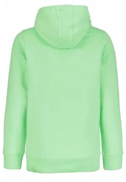 Garcia Hoodie - Green Lizzard -Mode Kledingwinkel 8a3c6491bf4842a39537f39be969495d