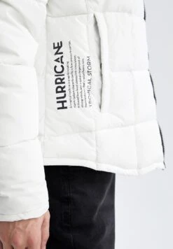 DeFacto Regular Fit- Winterjas - White -Mode Kledingwinkel 8dc03824885f4989a181a7c5be586e47