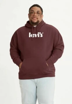 Nieuwe uitgaven 19 Levi's® Plus Relaxed Graphic Poster - Hoodie - Neutrals