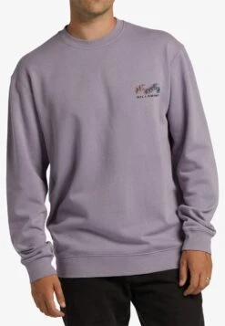 Billabong Sweater - Grey Violet 7 Billabong Sweater - Grey Violet -Mode Kledingwinkel f56f0890a8164eaeaff79a0ea8954acb