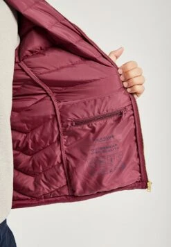 POLO CLUB Ultralight Hooded Mickael - Winterjas - Burgundy -Mode Kledingwinkel ffb19092bcf54d0daf8f40033db54d26